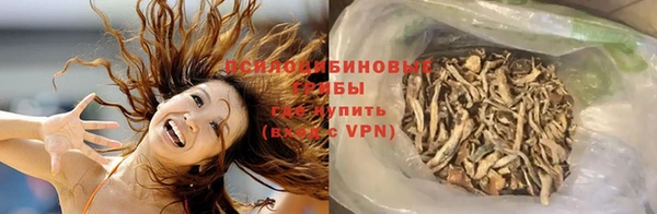 гидра Гусев
