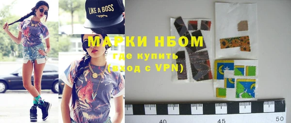 гидра Гусев