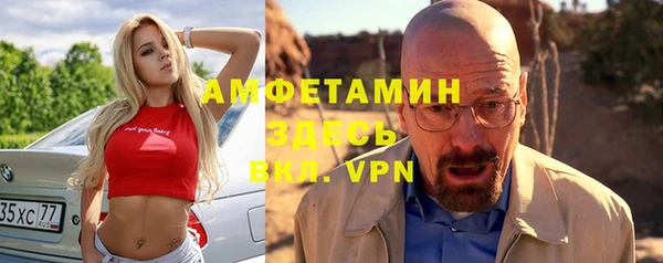 гидра Гусев