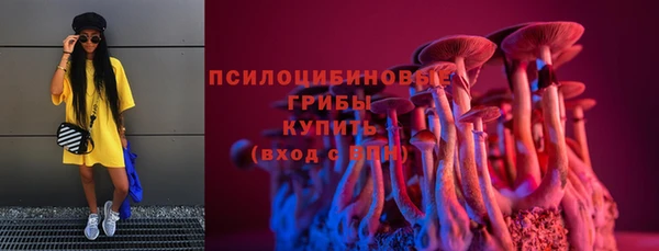 гидра Гусев