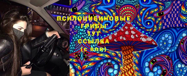 гидра Гусев