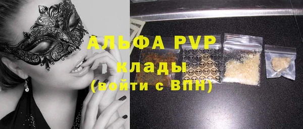 гидра Гусев