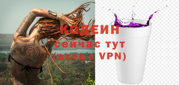 гидра Гусев
