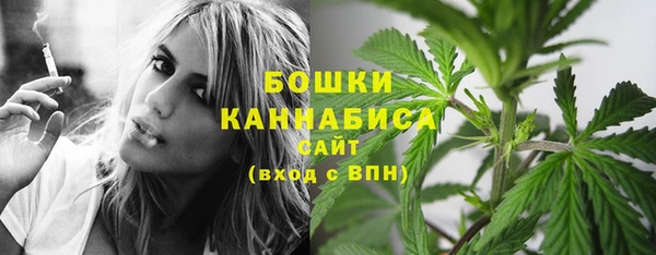 гидра Гусев