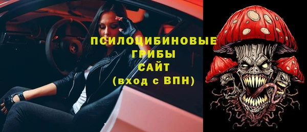 гидра Гусев