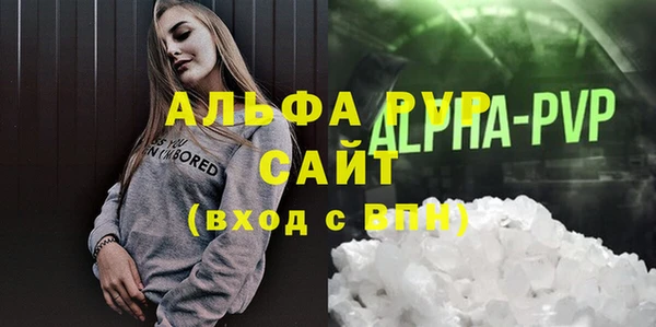 гидра Гусев