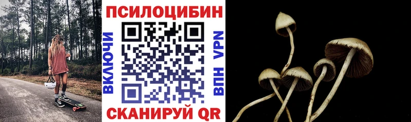 Купить где  Слюдянка  Псилоцибиновые грибы мухоморы 